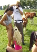 teen girl blowjob outside camera with cows in the meadow