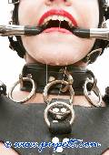 two pony girls and her mistress in outdoor action 13