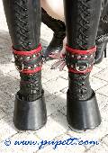 ponygirl and mistress 9
